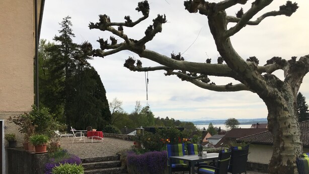 A patio with a table and chairs, surrounded by potted plants and a large tree. - Apartment Hoeri with Private Garden, Terrace, and Wi-Fi (Uhldingen-Mühlhofen)