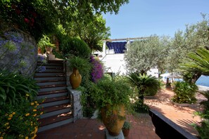 Eine Treppe führt zu einer Terrasse mit Kübelpflanzen und Blick aufs Meer.