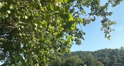 Private Riverfront Retreat-river access, walking/biking path, fire pit