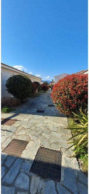 Immagine non classificata, 4 di 17, pulsante