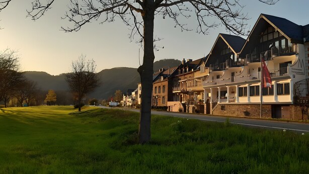 A row of traditional European-style buildings with balconies, a grassy field, and a mountain in the background. - Comfort Breakfast Room with Balcony and Moselle View for 2 in Ediger-Eller (20 m²) (Ediger-Eller)