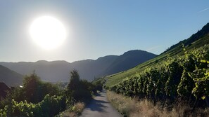 Imagen sin descripción, 4 de 8, botón