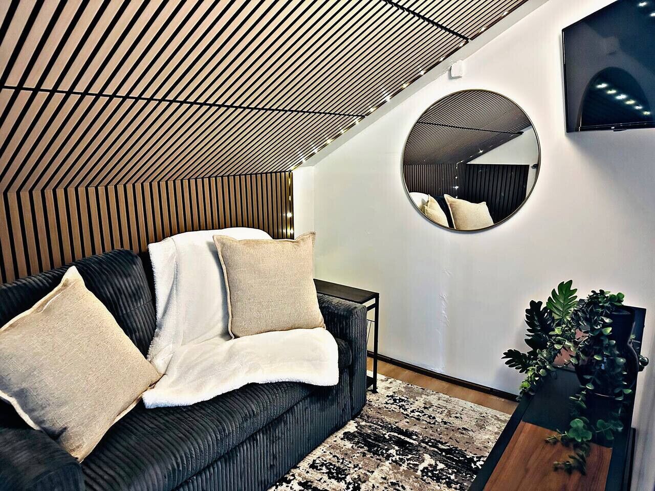 TV