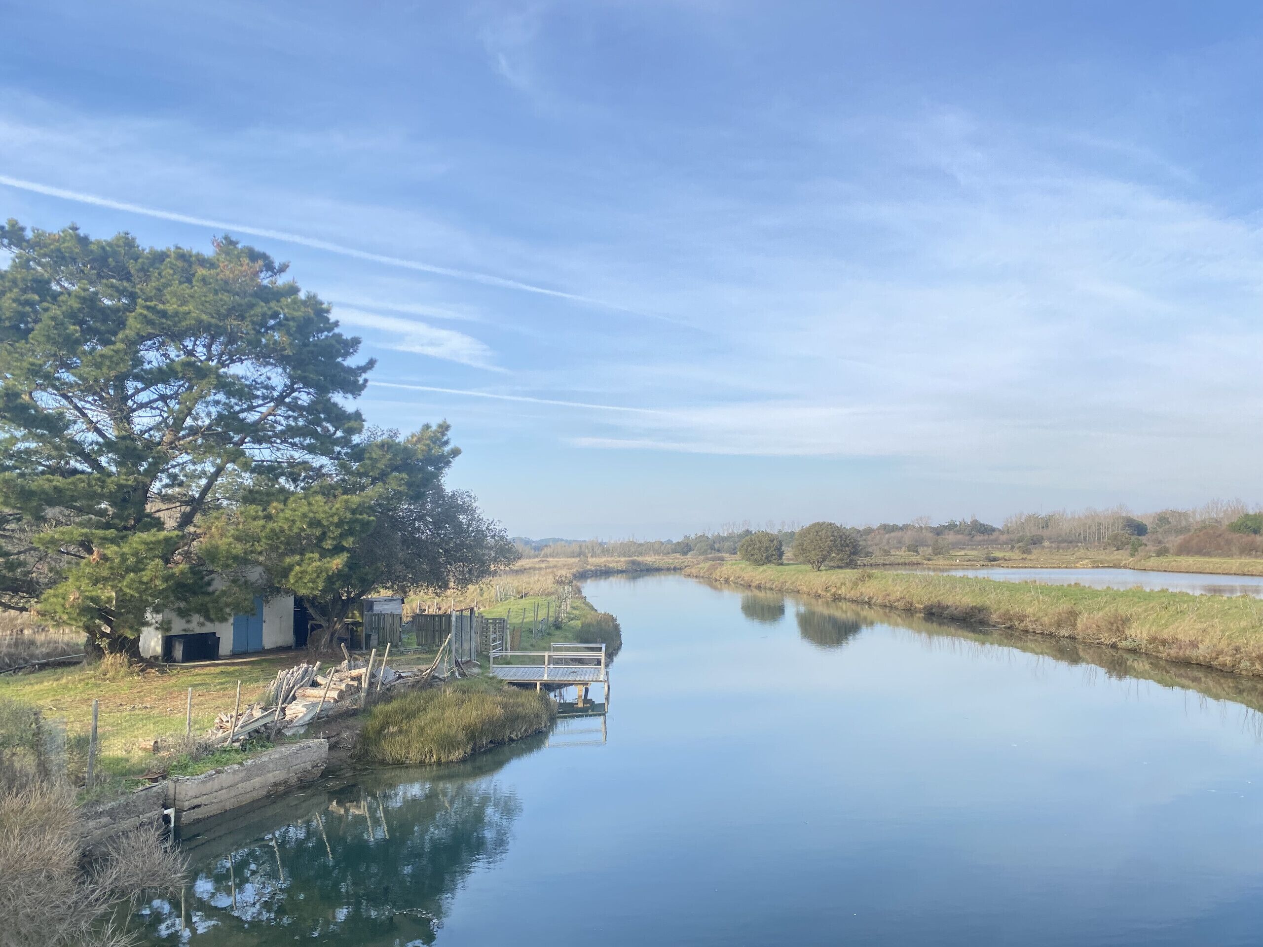 A calm river with a wooden dock, a tree, and a small building by the water.