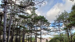 A forested area with a dirt path leading to a wooden bench and a small shelter. - Large, Comfortable Holiday Home With a Garden (Smoldzino)