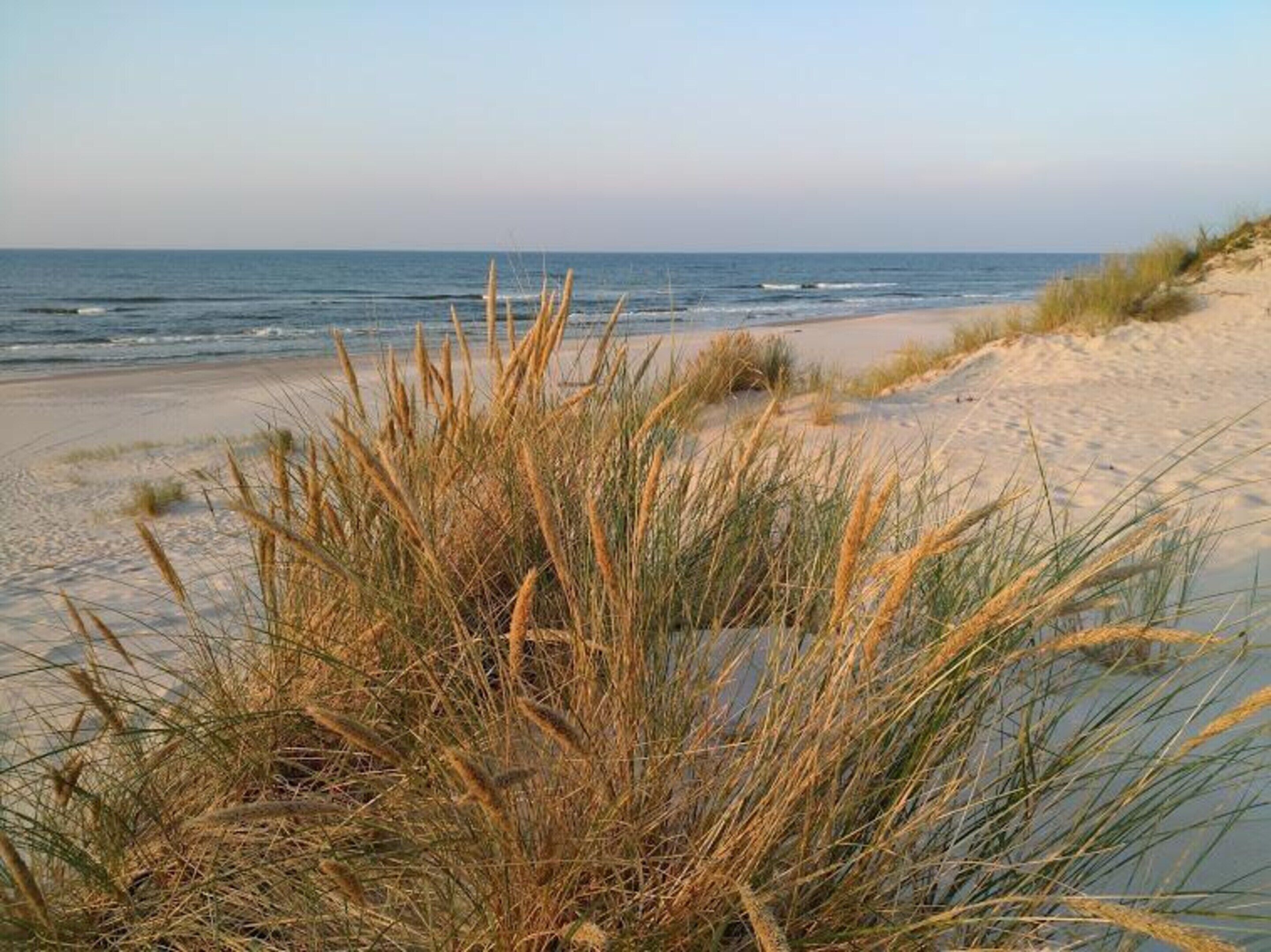 Ferienhaus | Blick von der Unterkunft