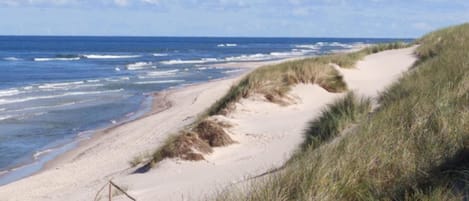 Vista desde la propiedad