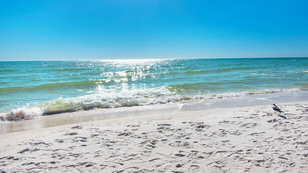 Ein Strand mit blauem Himmel, ruhiger See und Fußspuren im Sand.