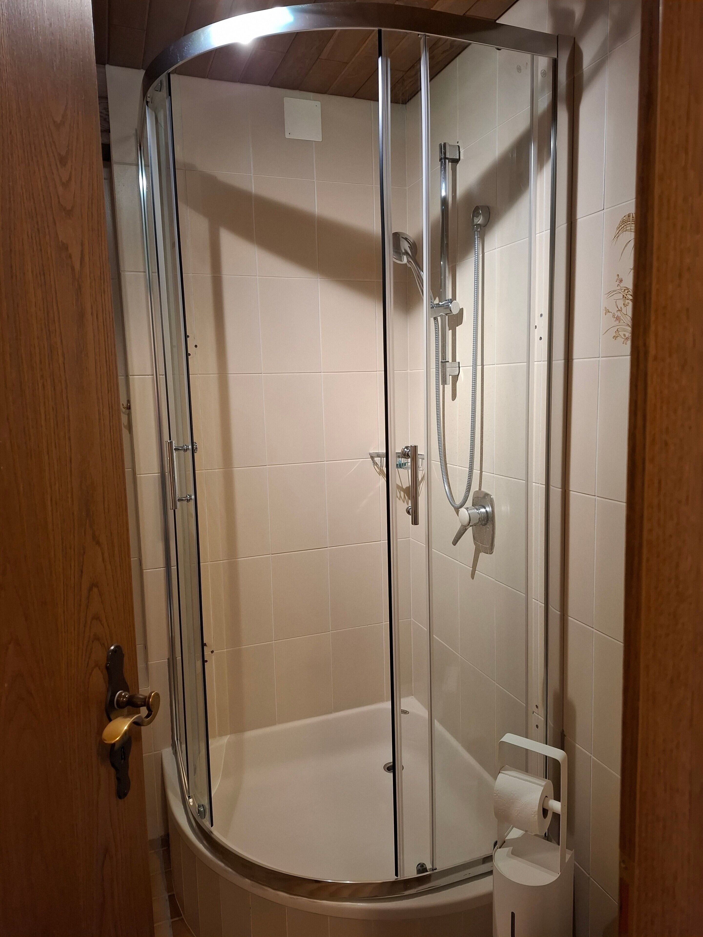 Shower, hair dryer, towels