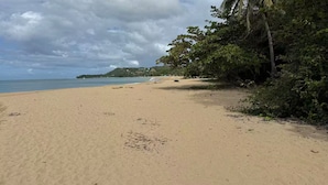 Una playa con arena, palmeras y una vista lejana de una pequeña isla.