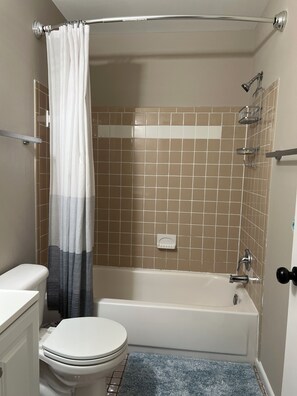 Bathroom - Mid-century modern 3-bedroom house near metro in peaceful Springfield, VA (Springfield)