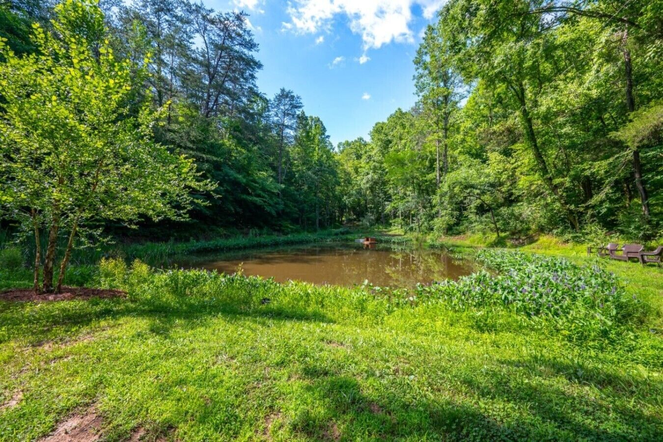 Eine natürliche Landschaft mit Teich, umgeben von üppigem Grün und Bäumen.