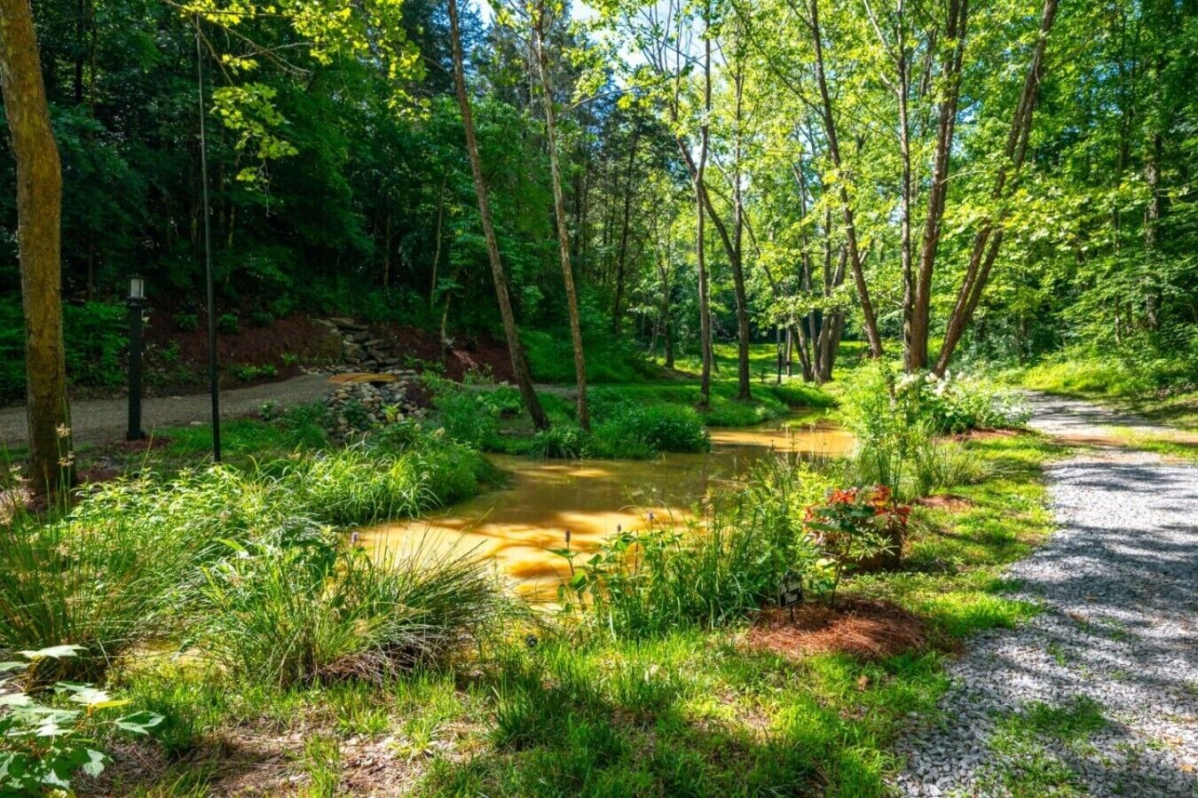 A forested area with a gravel path and a small stream.