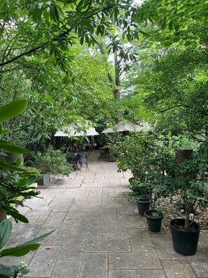 Un espace extérieur pavé, aménagé avec des tables et des chaises, entouré d’une végétation luxuriante et d’arbres.