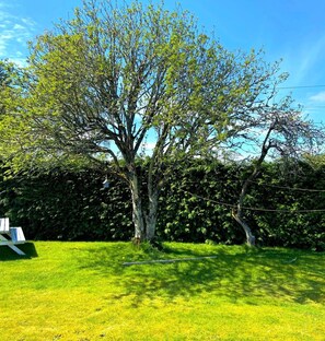 Jardin