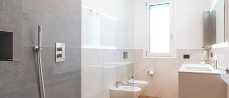 Shower, hair dryer, bidet, towels