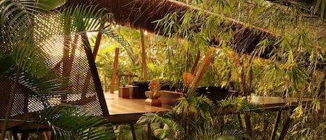 Terraza o patio