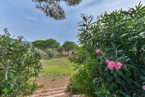 Un sentier de jardin qui mène à un bâtiment, avec des arbres et des arbustes.