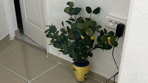 A potted plant in a yellow vase on a tiled floor near a white door and a white shelf with a white device on it.