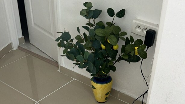 En krukväxt i en gul vas står på ett klinkergolv nära en vit dörr och en vit hylla med en vit apparat på.