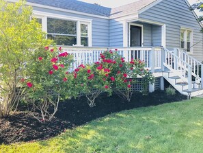Exterior - Pet-Friendly Home in Cape May w/ BBQ & Fireplace (Cape May)