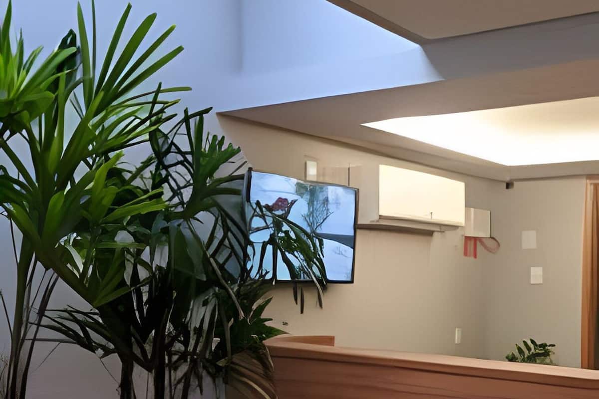 Uma mesa de recepção com acabamento em madeira e uma placa com a inscrição 'VIVIMDA DO HAUS'. Há plantas em vasos à esquerda da mesa.