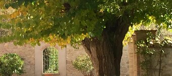 The Mulberry Trees of Colombata Oasis of peace in the countryside. 