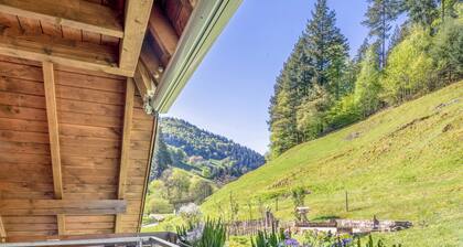 Belchenzeit Apartment – Quiet Location by the Forest Edge with Wi-Fi