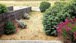 Un sendero de jardín con pared de piedra, arbustos y plantas con flores.