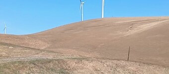 Holiday Specials 25 Dollars. High on a Hilltop! Private 200 Acres Camps.