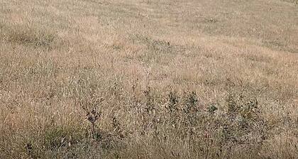 High on a Hilltop! Camping Private Access 200 Acres!