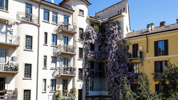 Un immeuble à plusieurs étages doté de balcons, dont certains sont ornés de plantes, et sur lequel grimpe une grande glycine.