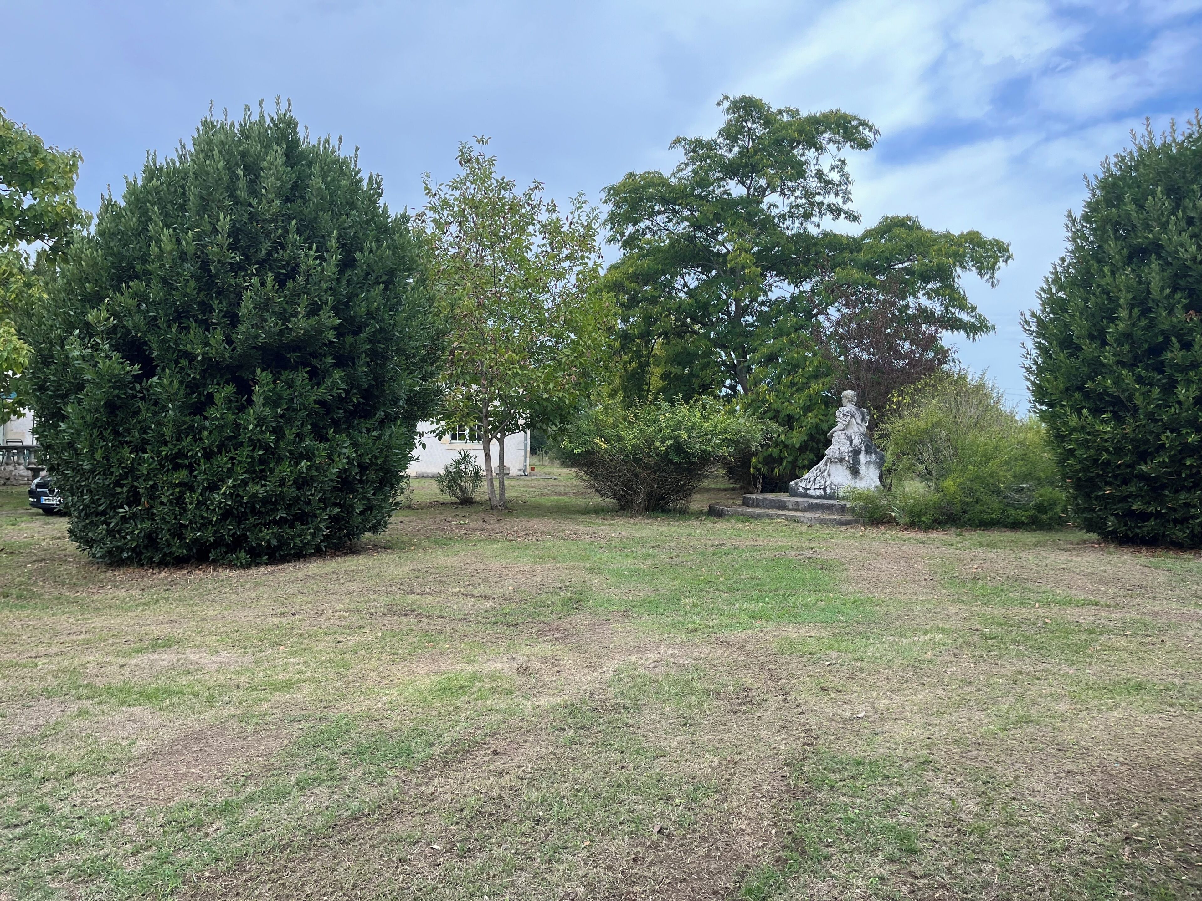 Un espace verdoyant avec des arbres et une statue.