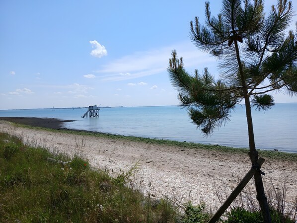 Ranta