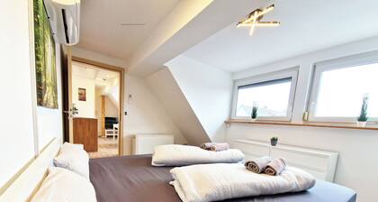 Charming dream apartment with 3 bedrooms only 5 min to Europa-Park