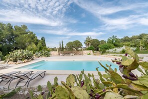 Ein Schwimmbecken mit einer Terrassenfläche, umgeben von Kakteen und Bäumen.