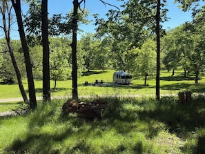 A recreational vehicle (RV) parked in a grassy area surrounded by trees. - Cozy 1-bedroom Bambi Airstream on a 56 acre farm with stream and woods. (Morris)