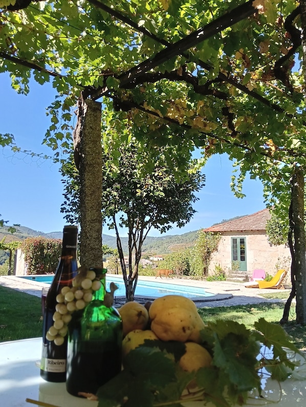 Pool - Casa do Capitán (Pospazo-Gomariz) (Cubilledo)