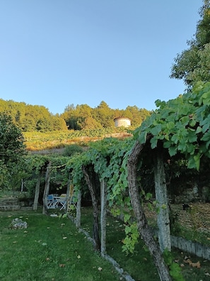 Property grounds - Casa do Capitán (Pospazo-Gomariz) (Cubilledo)