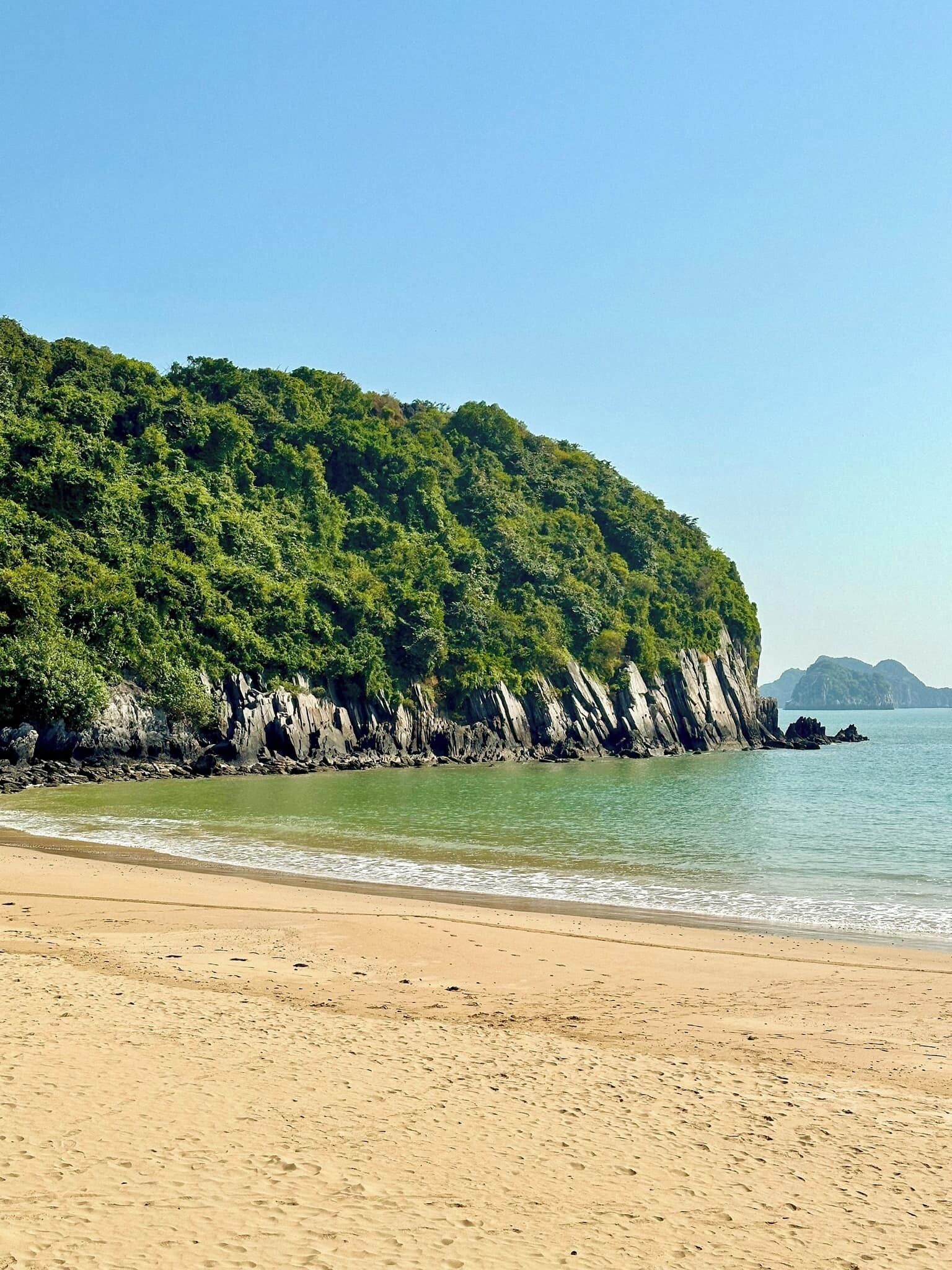 A beach with a sandy shore and a rocky cliff with dense greenery.