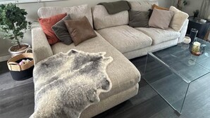 Un saló amb un sofà, una taula de centre de vidre, una planta en test i una obra d'art a la paret.