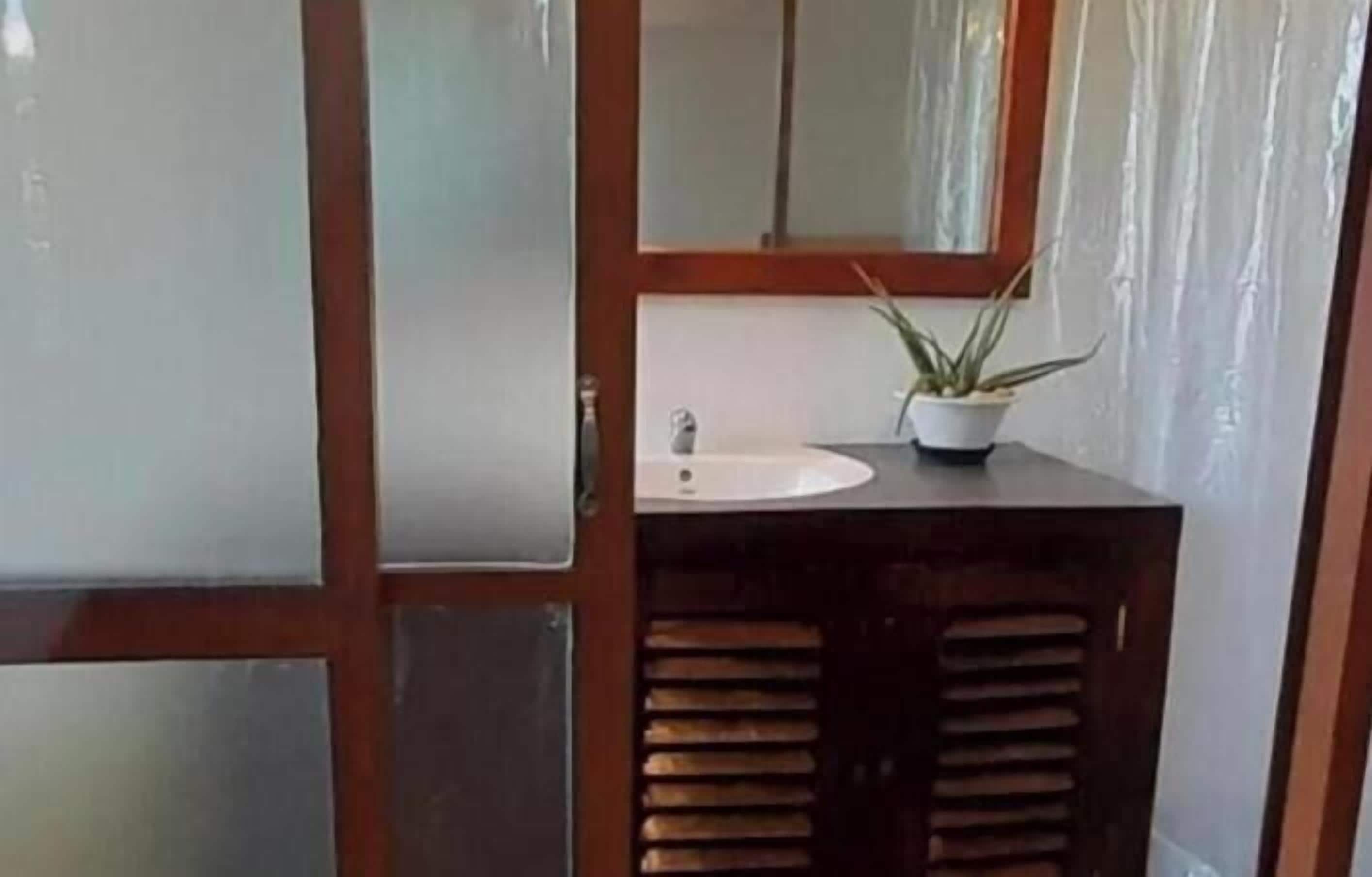 A bathroom with a wooden vanity, a white sink, and a potted plant.