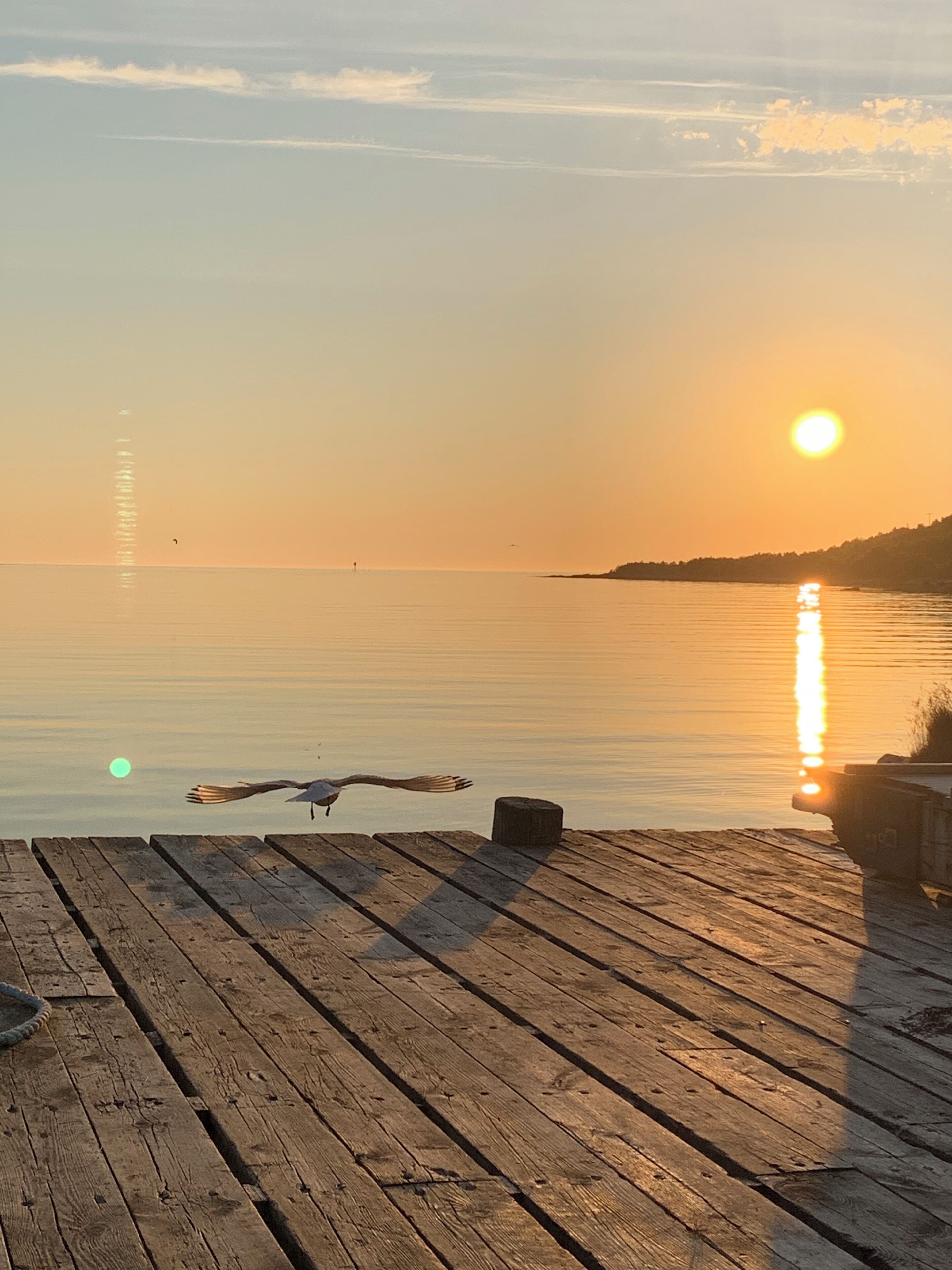 En träbrygga som sträcker sig ut i stilla vatten, med en solnedgång i bakgrunden.