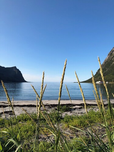 Rural life on the rough coastline of Senja