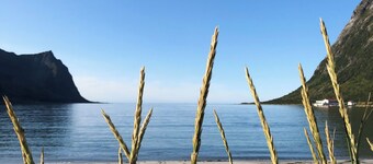 Rural life on the rough coastline of Senja