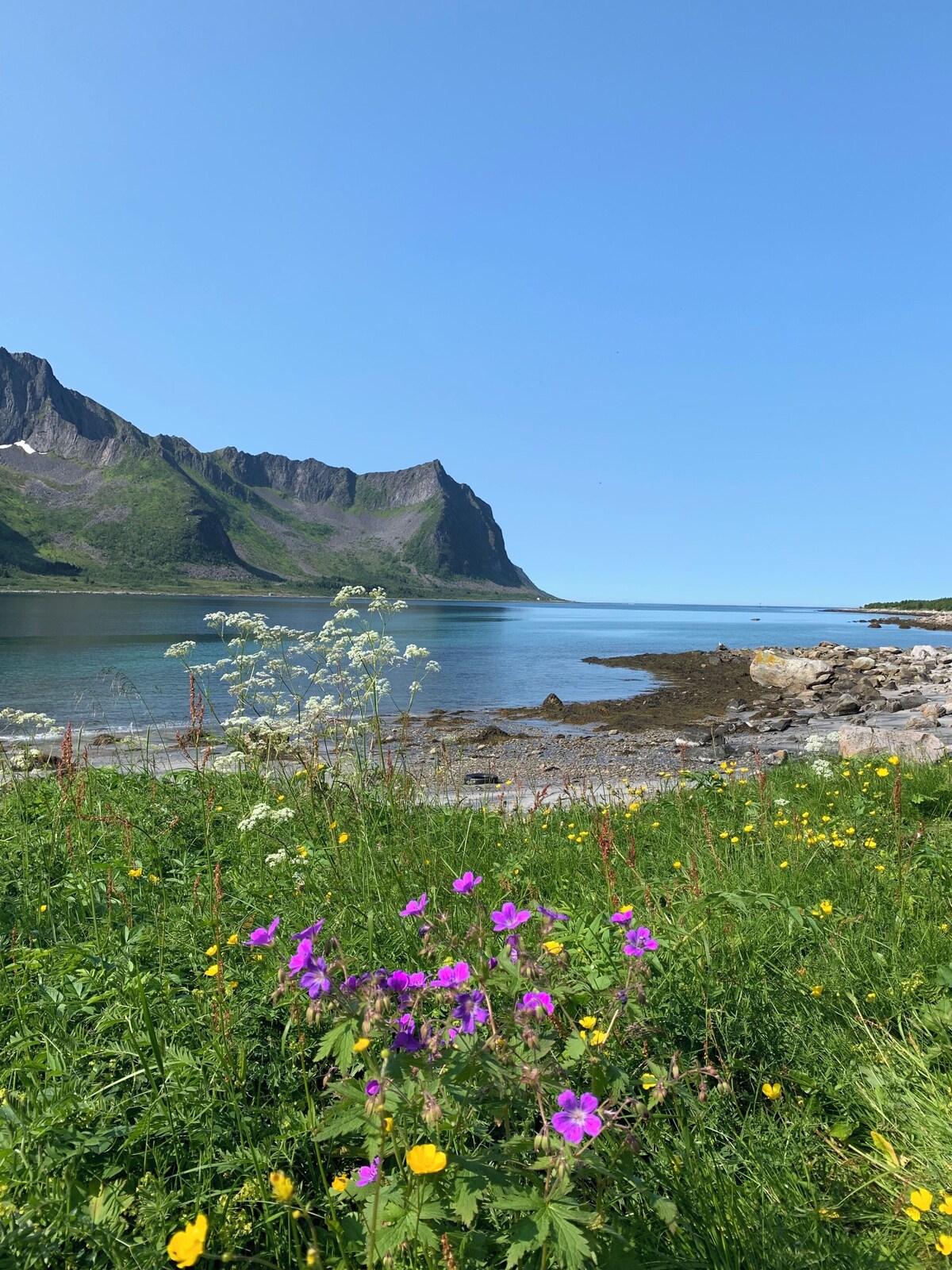 オーナーのプロフィール画像