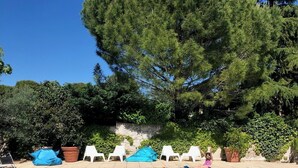A rectangular swimming pool with clear blue water, surrounded by white lounge chairs and blue cushions, with a large tree in the background. - Bastide provençale - Private pool 11m - Air conditioning - Pizza oven - Aix 5min (Aix-en-Provence)