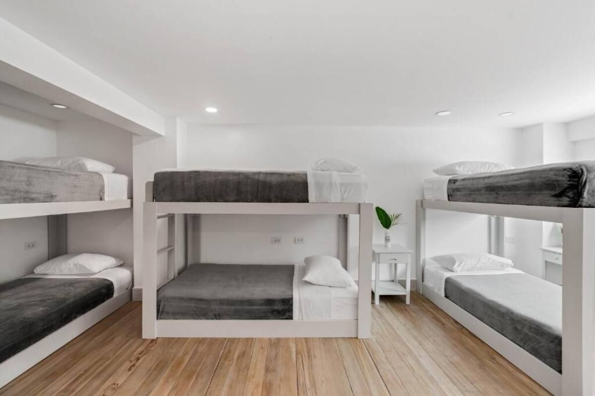 A bunk bed room with white bedding, a small white table with a plant, and wooden flooring.