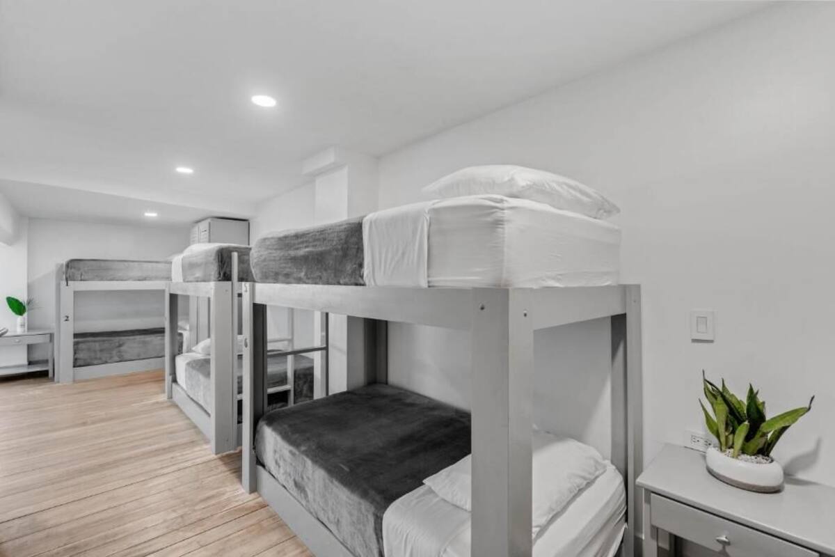 A bunk bed room with a bedside table and a potted plant.