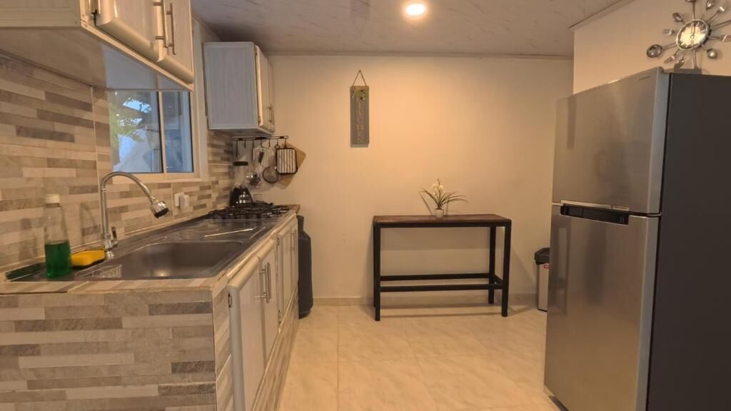 A kitchen with a modern design, featuring a stainless steel refrigerator, a sink with a faucet, and a small table with a potted plant.